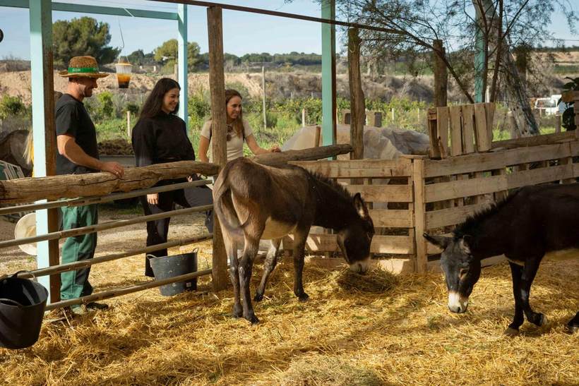Visita guiada en grupo reducido por la finca Ecoland en Pilar de la Horadada, junto a los animales